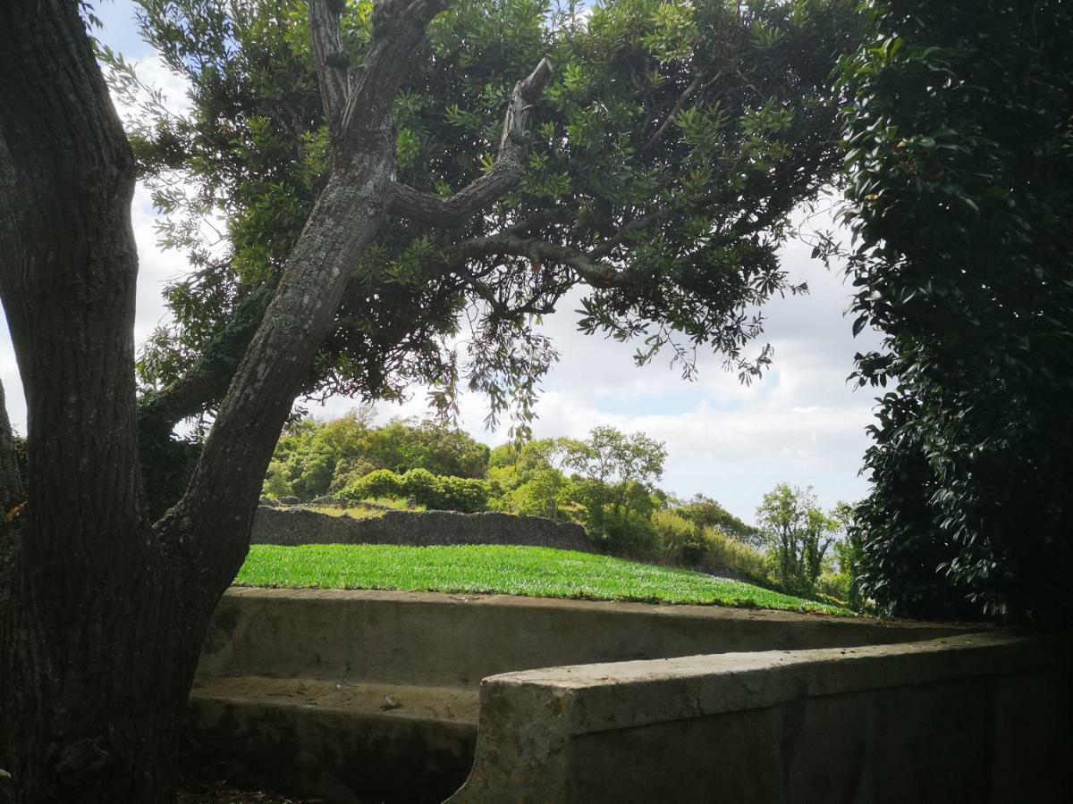 Quinta Das Camelias - Acores Ponta Delgada Kültér fotó